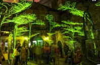 wpe7C.jpg (10722 bytes)